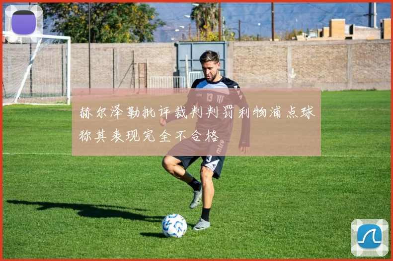 赫尔泽勒批评裁判判罚利物浦点球称其表现完全不合格