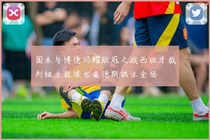 国米与博德闪耀欧冠之战西班牙裁判组主裁埃尔南德斯执法全场