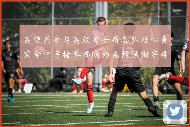 高使用率与高效率并存各队核心真实命中率榜单揭晓约老师领衔字母紧随其后